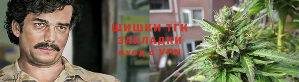 дживик Баксан