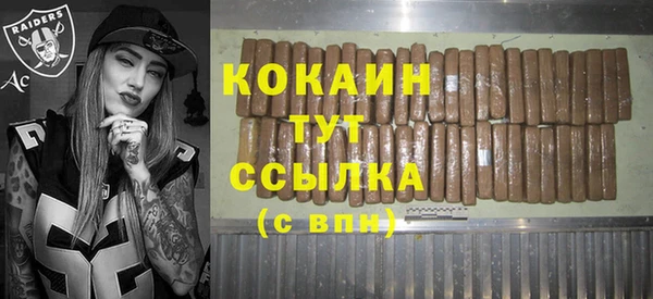 дживик Баксан
